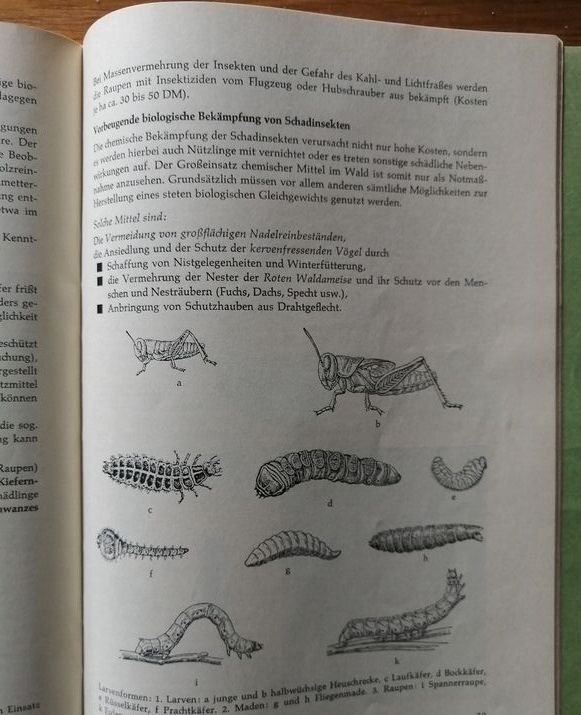 Bäuerlicher Waldbau 1971 HUBER Hanns En allemand Deutsche sprache