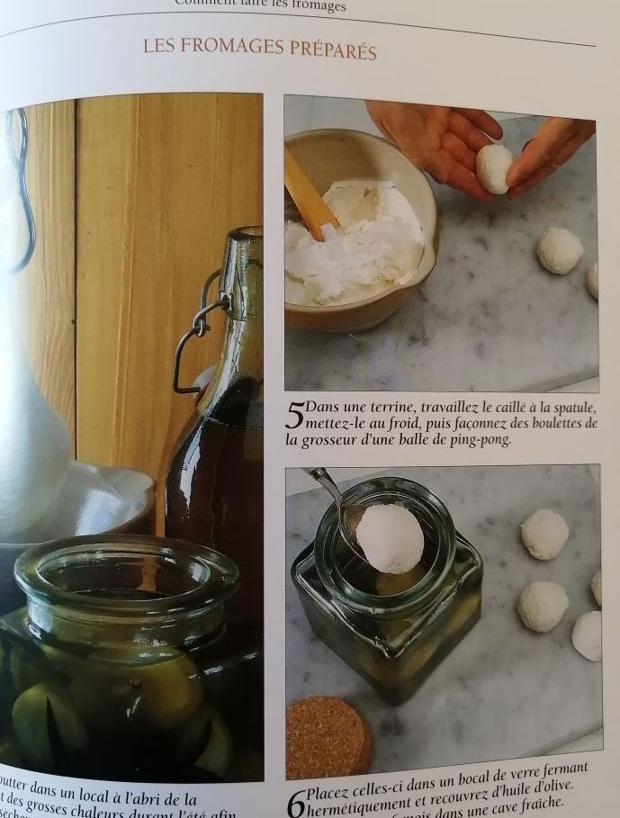 Comment faire les fromages frais fermentés affinés. 2003 FONTENEAU