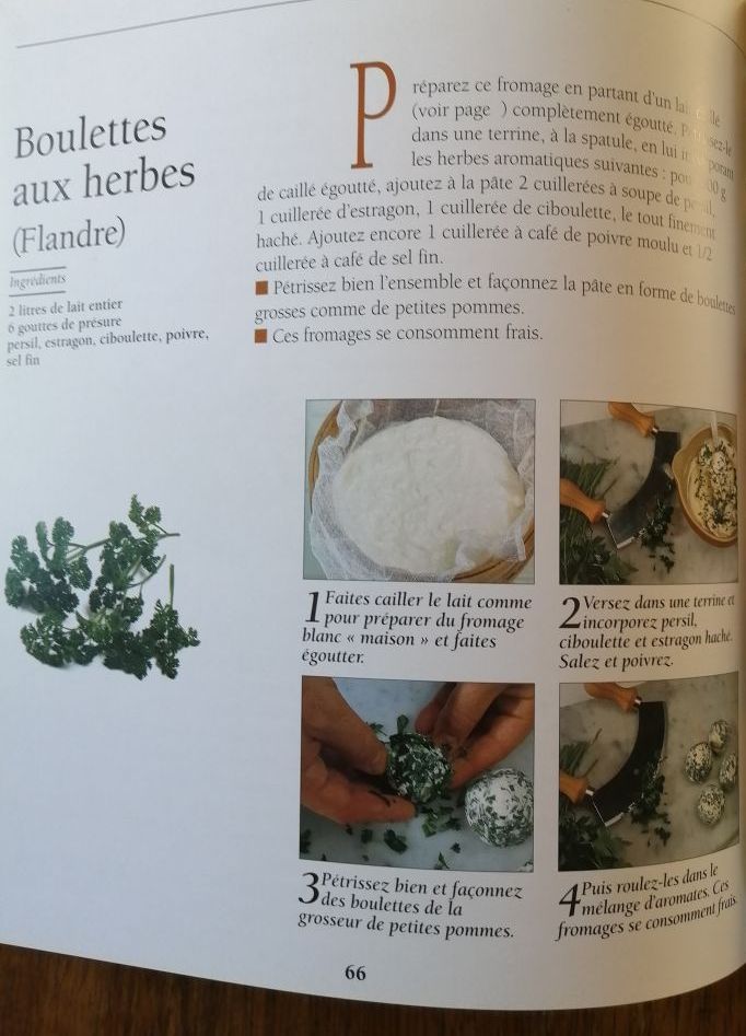 Comment faire les fromages frais fermentés affinés. 2003 FONTENEAU