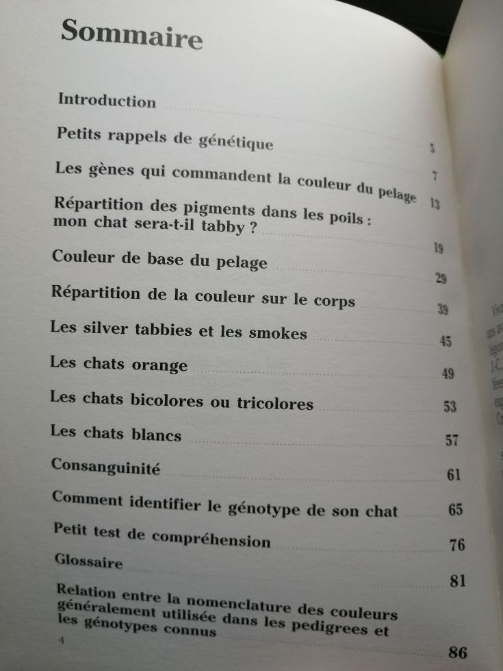 De quelle couleur seront mes chatons Abrégé de génétique de la robe