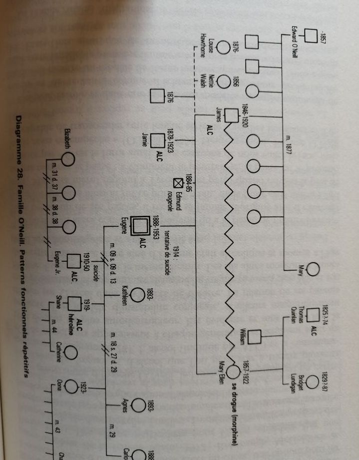 Génogrammes et entretien familial 1990 mac GOLDRICK Monica alias