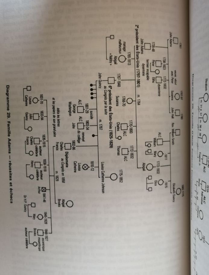 Génogrammes et entretien familial 1990 mac GOLDRICK Monica alias