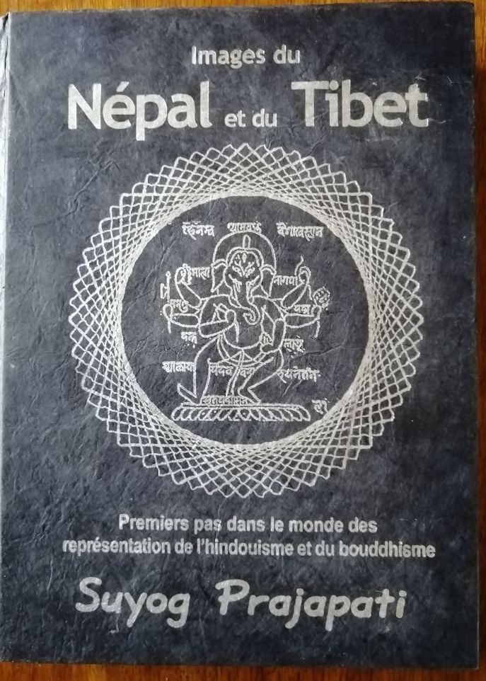 Images du Népal et du Tibet 2012 PRAJAPATI Suyog Premiers pas dans le