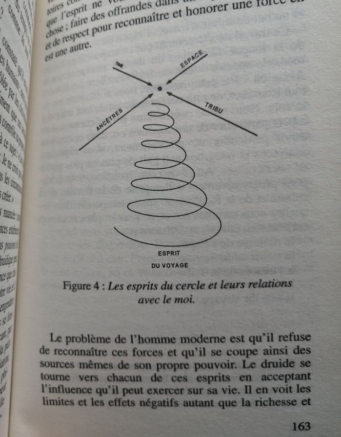 Initiation a la tradition druidique 1995 CARR GOMM Philip Druide