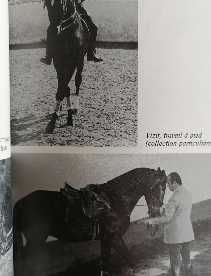 L art équestre 1991 OLIVEIRA Nuno Equitation Dressage Technique