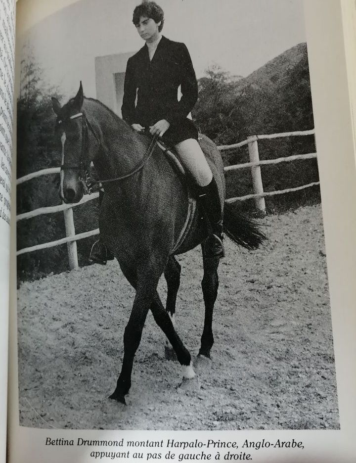 L art équestre 1991 OLIVEIRA Nuno Equitation Dressage Technique