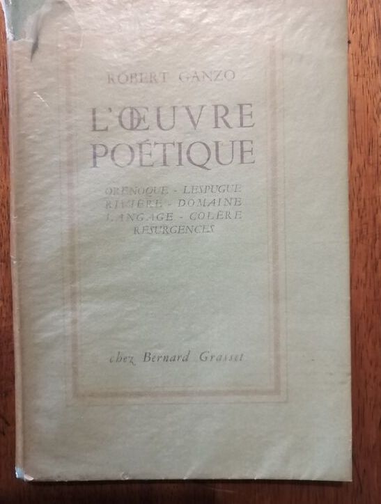 L oeuvre poétique Orénoque Lespugue Rivière Domaine Langage Colère