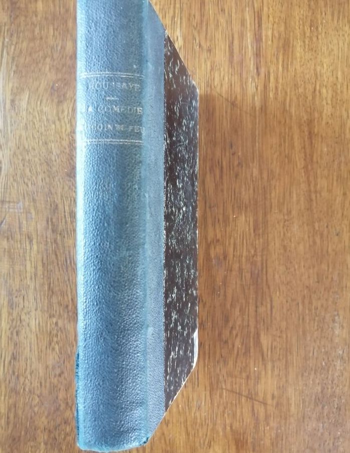 La comédie au coin du feu 1886 HOUSSAYE Arsène Reliure 19e d artisan