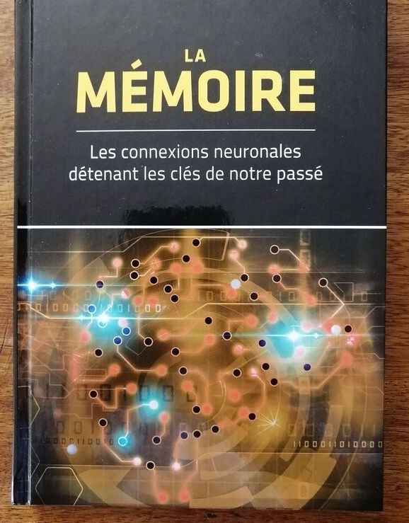 La mémoire Les connexions neuronales détenant les clés de notre passé