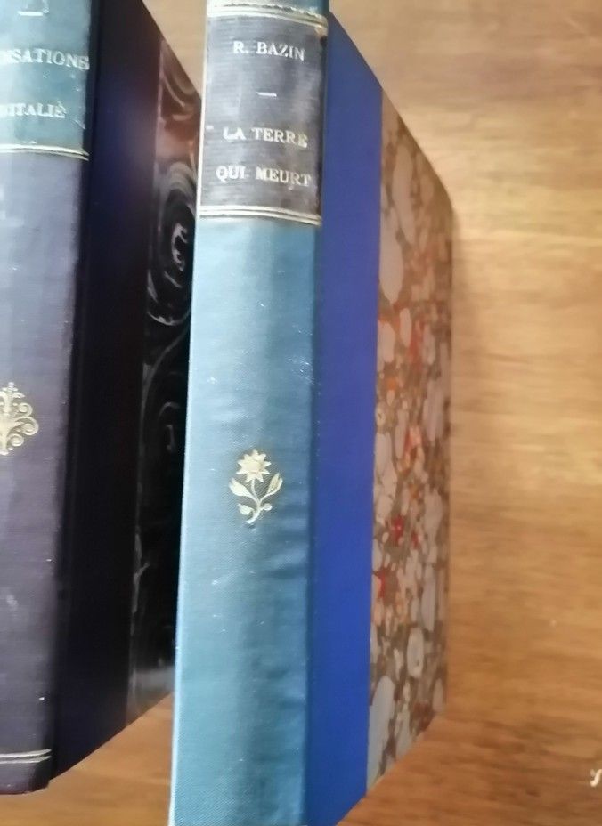 La terre qui meurt 1899 BAZIN René Désertification rurale