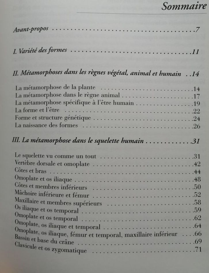 Le mystère du squelette Forme et métamorphose 1997 MEES Léonard