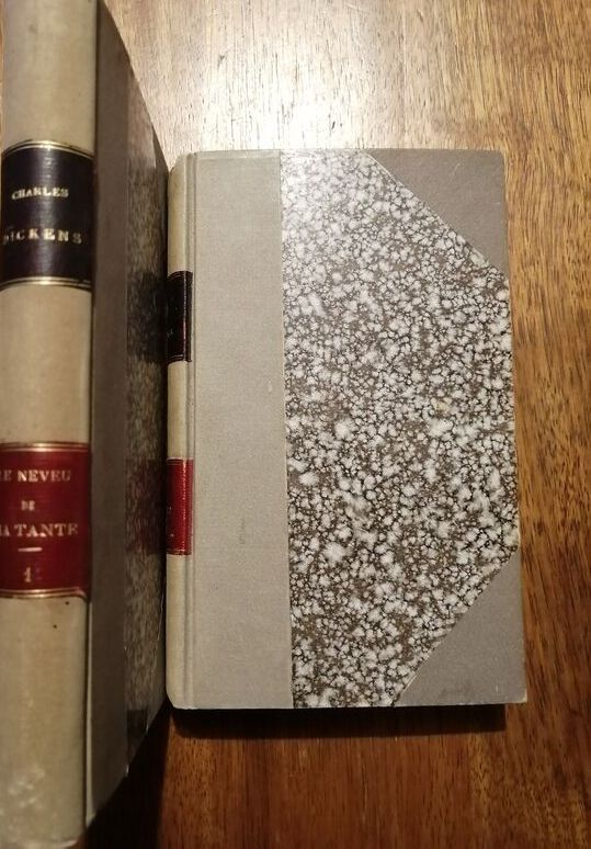 Le neveu de ma tante Histoire personnelle de David Copperfield 1880