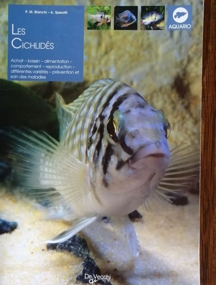 Les cichlidés 2006 BIANCHI Piero Maria et SPEROTTI Andrea Poissons