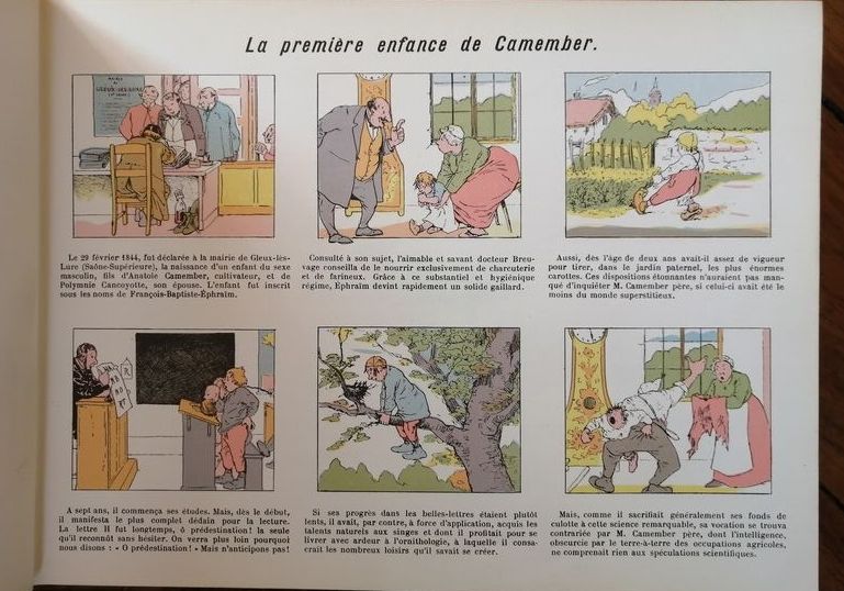 Les facéties du sapeur Camember, L idée fixe du savant Cosinus, La