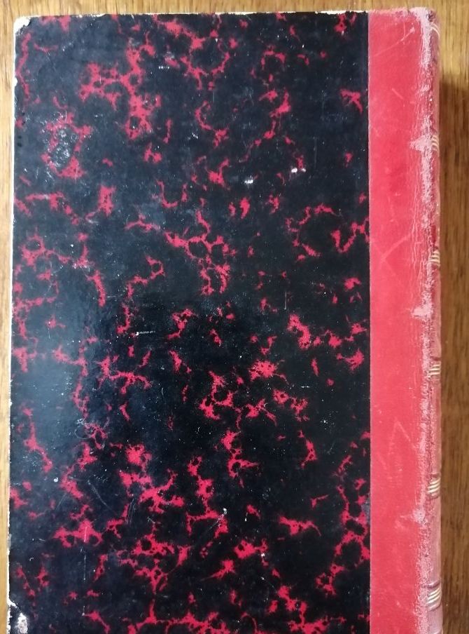 Les obsessions et impulsions 1902 PITRES Albert et REGIS Emmanuel