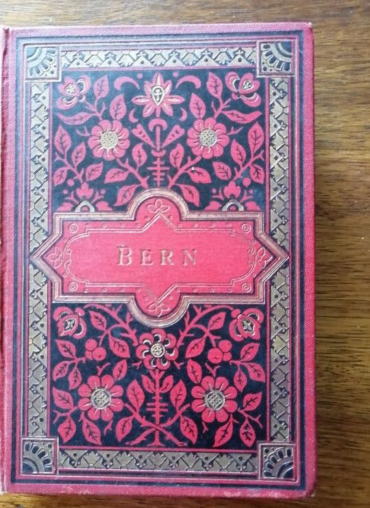 Photographies de Bern 20 en album accordéon 1891 1893 ROMMLER Emil et