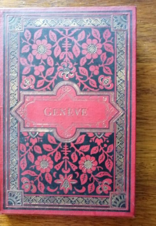 Photographies de Genève 12 en album accordéon 1890 1893 ROMMLER Emil