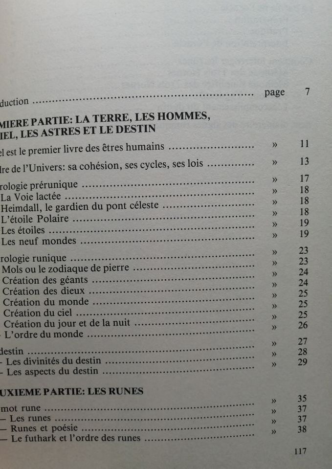 Prévoir le futur par l astrologie runique Avec 24 cartes divinatoires