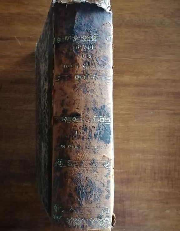 Revue des deux mondes 1856 Plusieurs auteurs Littérature Critiques