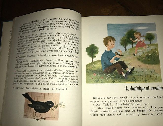 Tipiti le rouge gorge 1963 GUILLOT René Livre de lecture Cartonnage