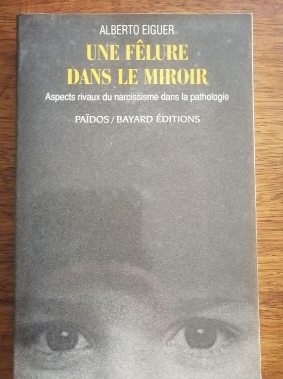 Une fêlure dans le miroir EIGUER Alberto Aspects rivaux du narcissime